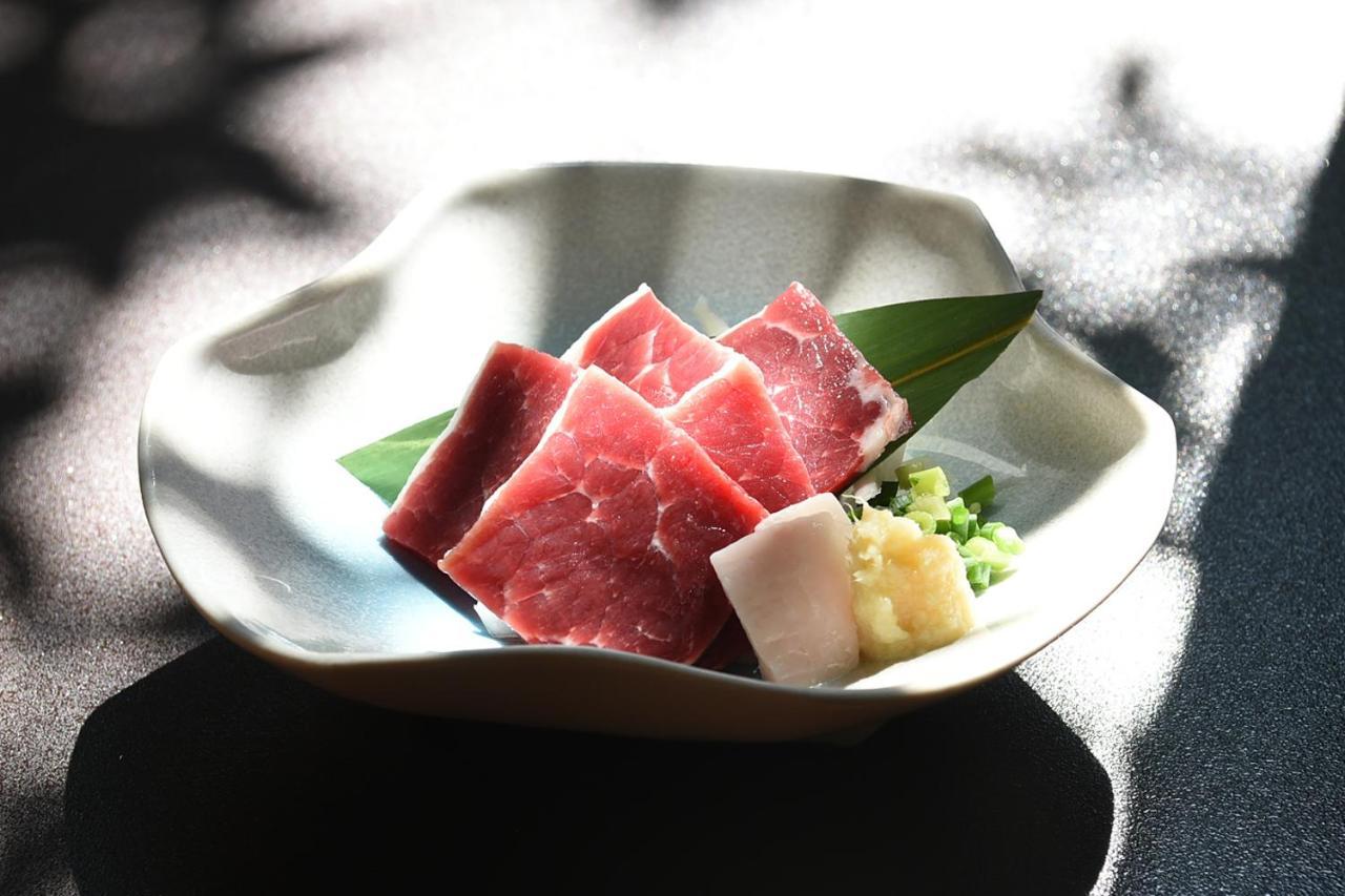 Hitoyoshi Ryokan Kültér fotó